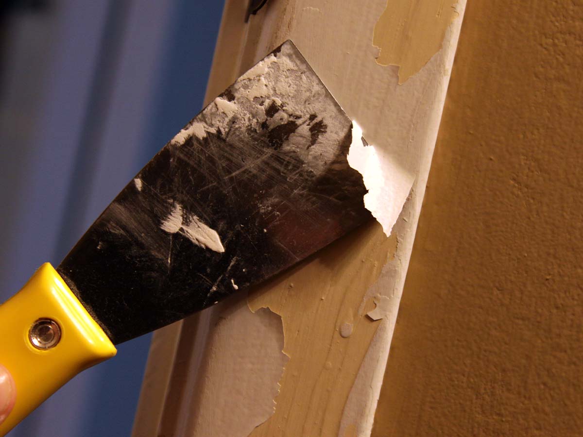 Closeup of a paint scraper removing paint